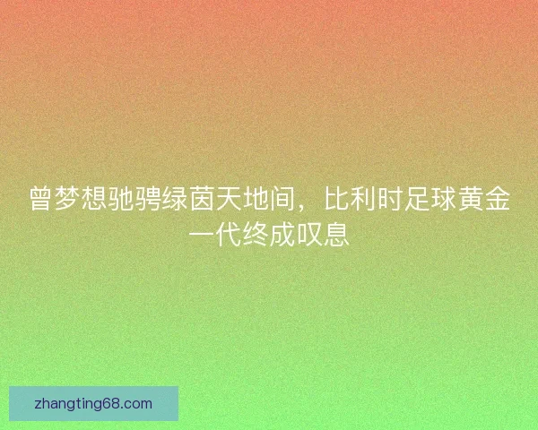 曾梦想驰骋绿茵天地间，比利时足球黄金一代终成叹息